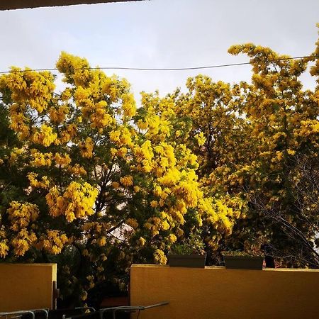 Appartement Proche Mer Avec Terrasse Et Jardin Privatif 耶尔 外观 照片
