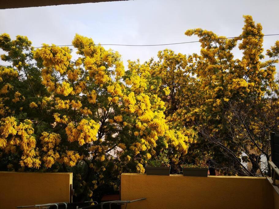 Appartement Proche Mer Avec Terrasse Et Jardin Privatif 耶尔 外观 照片